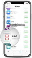 Inds Ipa iNDS Emulator Download - Play Nintendo Games