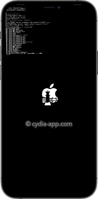 checkra1n-verbose-screen iPhone