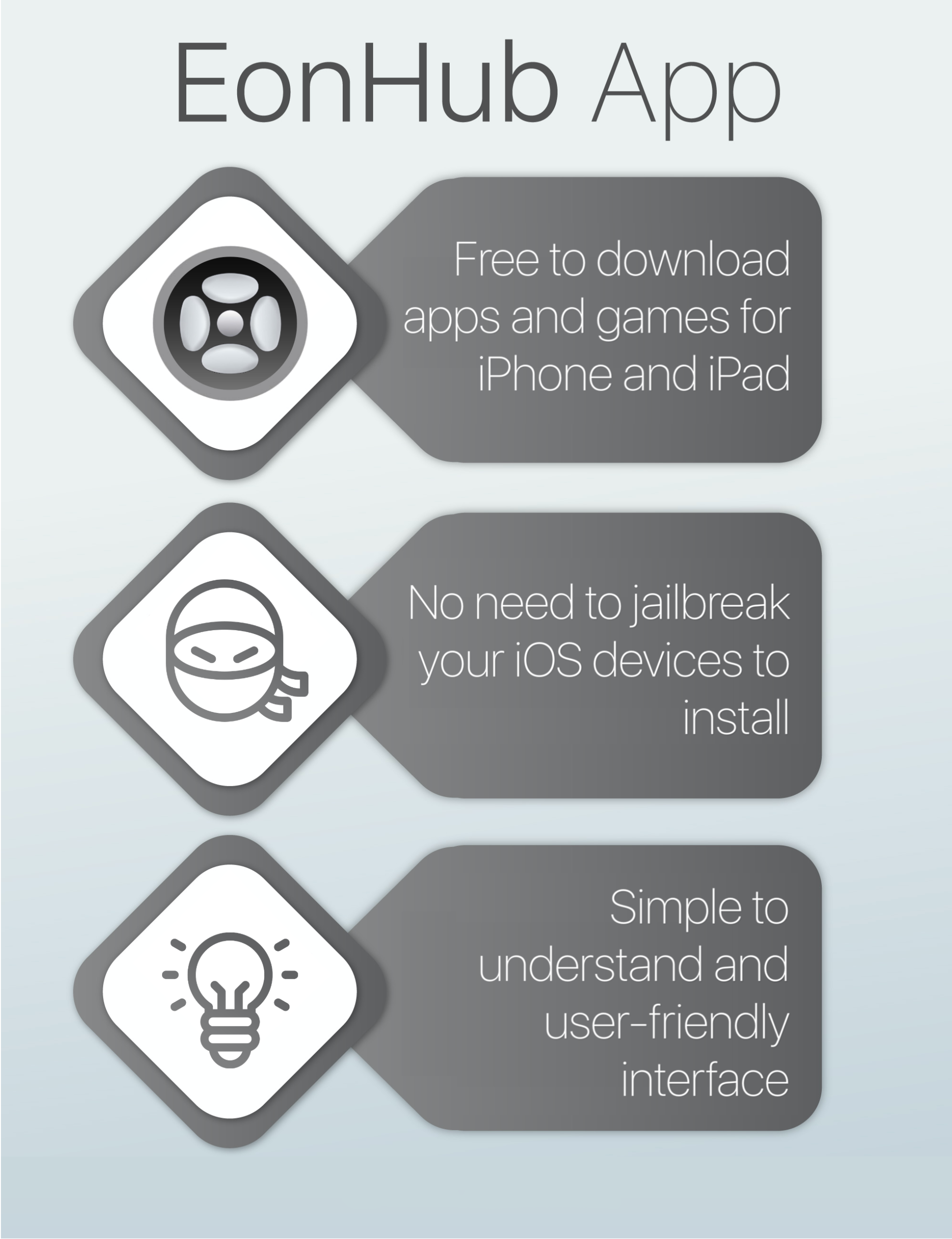 eonhub-app-infographic