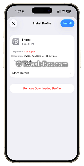 ipabox profile iphone